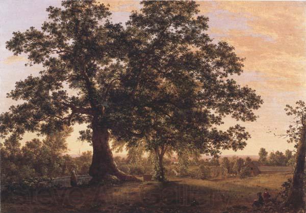 Frederic E.Church The Charter Oak at Hartford Germany oil painting art